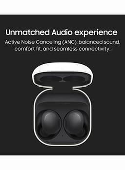 Galaxy Buds 2 Graphite